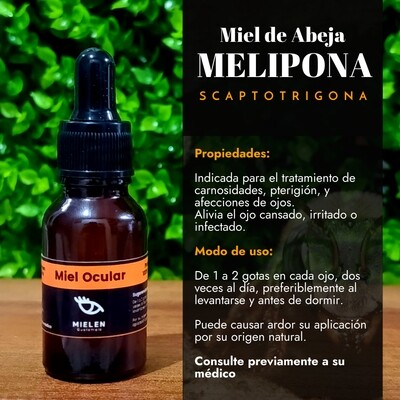 Miel de Abeja Melipona Scaptotrigona - Virgen (Gotero)