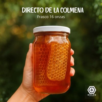 Miel Pura con Panal Adentro 16 onzas - La Experiencia de la Colmena