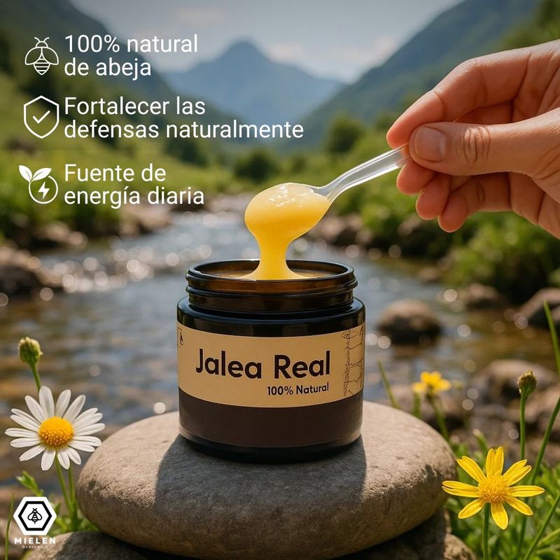 Jalea Real Pura - El Tesoro de la Colmena