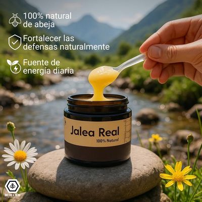 Jalea Real Pura - El Tesoro de la Colmena