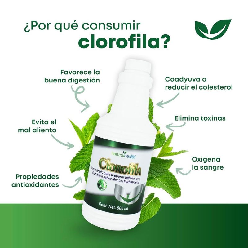 Clorofila Líquida Sabor Menta – Natural Health (500 ml)