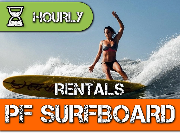 Surf Board Rental PERFORMANCE by Hour