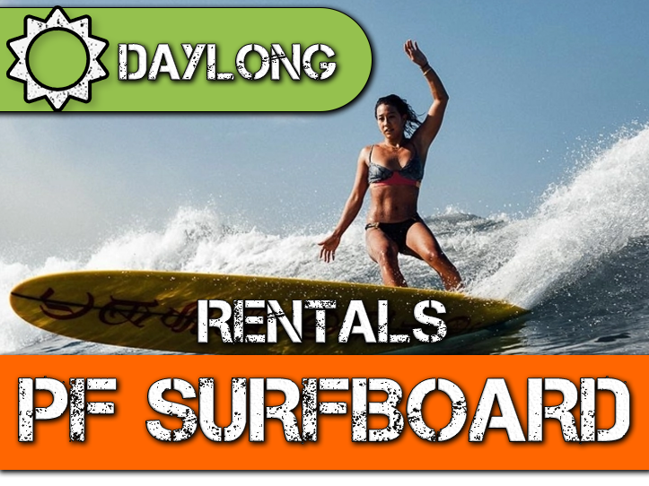 Surf Board Rental PERFORMANCE by Day
