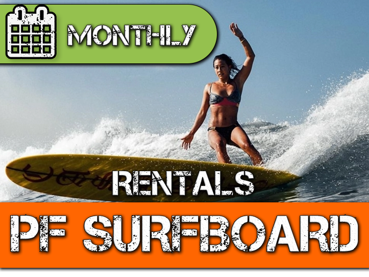Surf Board Rental PERFORMANCE by Month