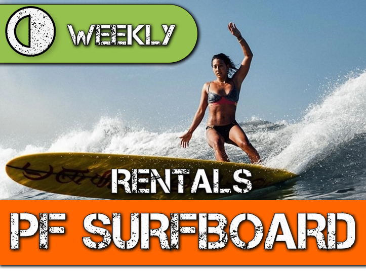 Surf Board Rental PERFORMANCE by Week