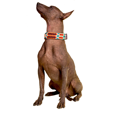 Pet leash holder handmade by WildMex