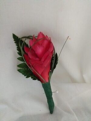 Tropical button home