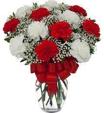 12 Red & White Carnations in a vase