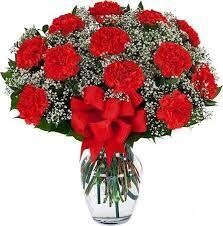 12 Red Carnations in a vase