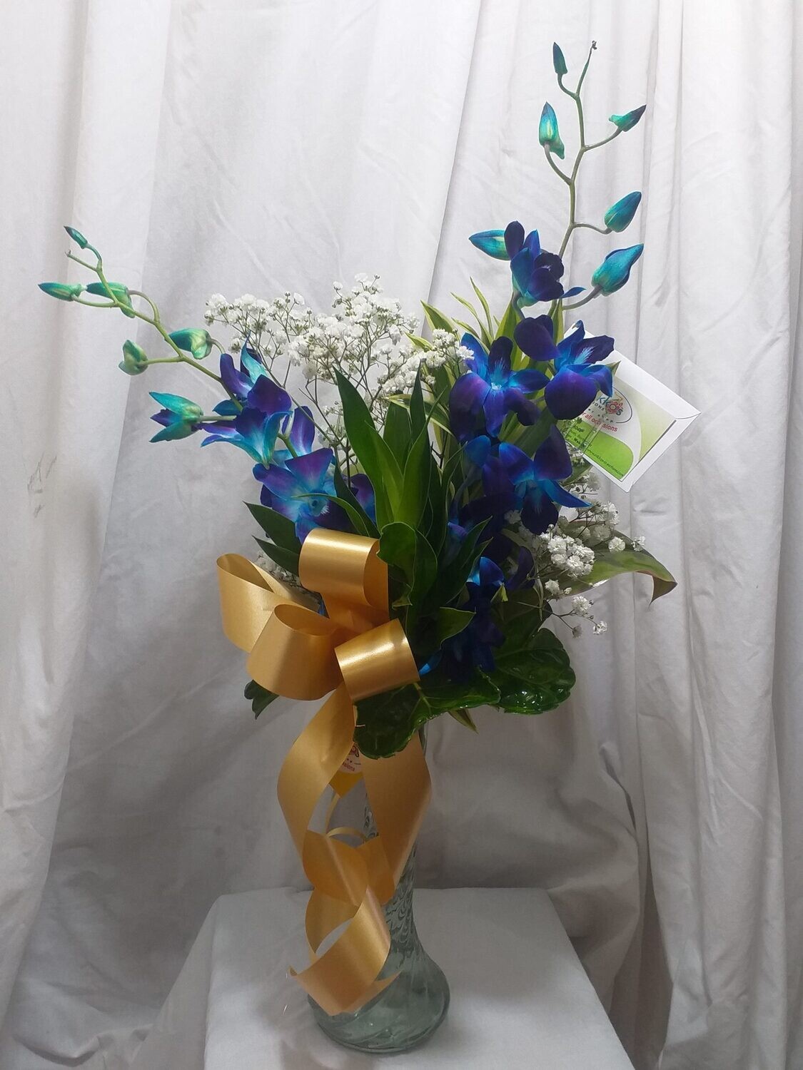 Blue orchids  - 2 in a vase -