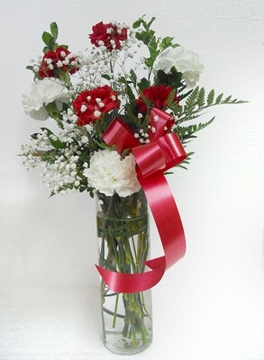 6 red and white Carnations in a Vase
