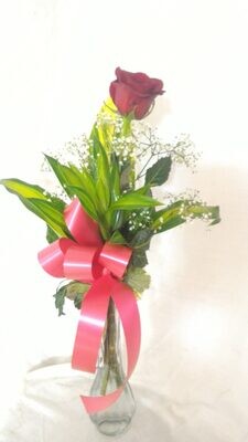 Rose - 1 in a vase