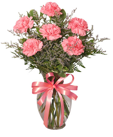 6 Pink Carnations in a vase