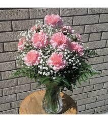 12 Pink Carnations in a vase