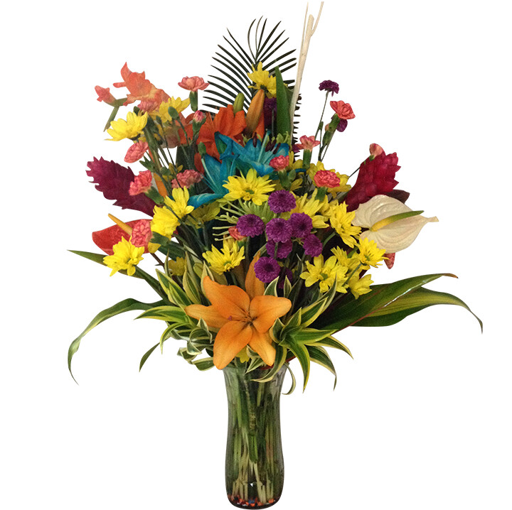 Cut Flowers
