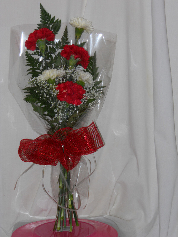 6 Carnations in a Sleeve