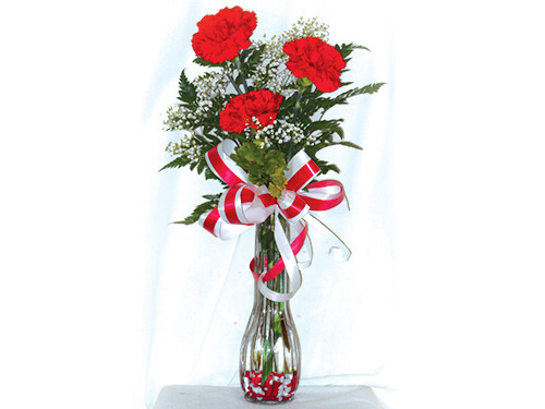 3 Red Carnations in a Vase