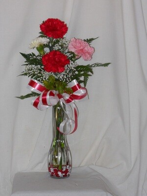Valentines 4 mix Carnations in a Vase