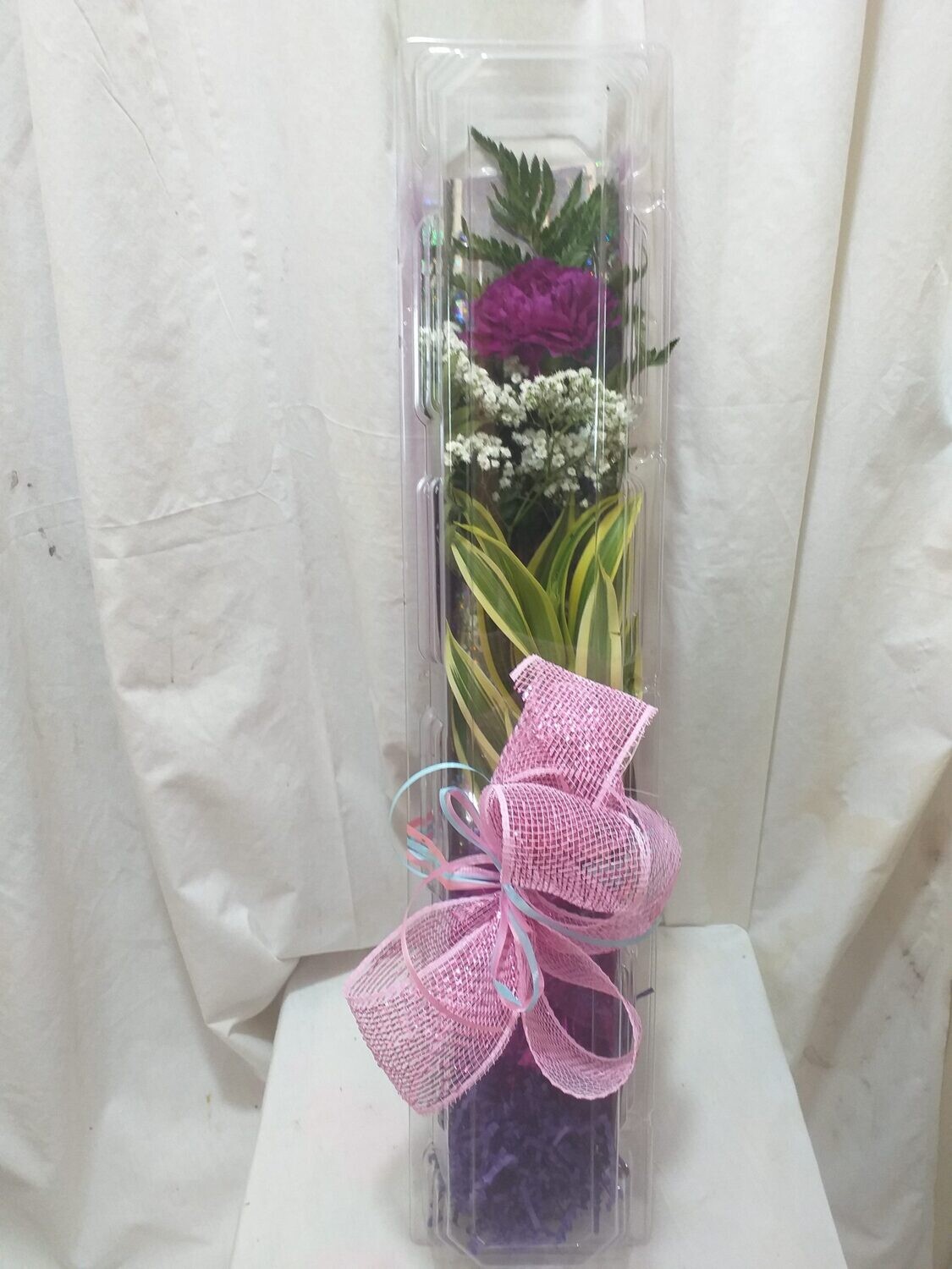 1 Carnation in a box dressed