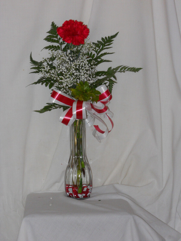 1 Carnation in a Vase
