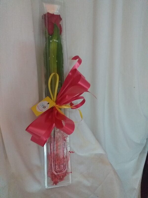 Rose  - 1 in a Box 