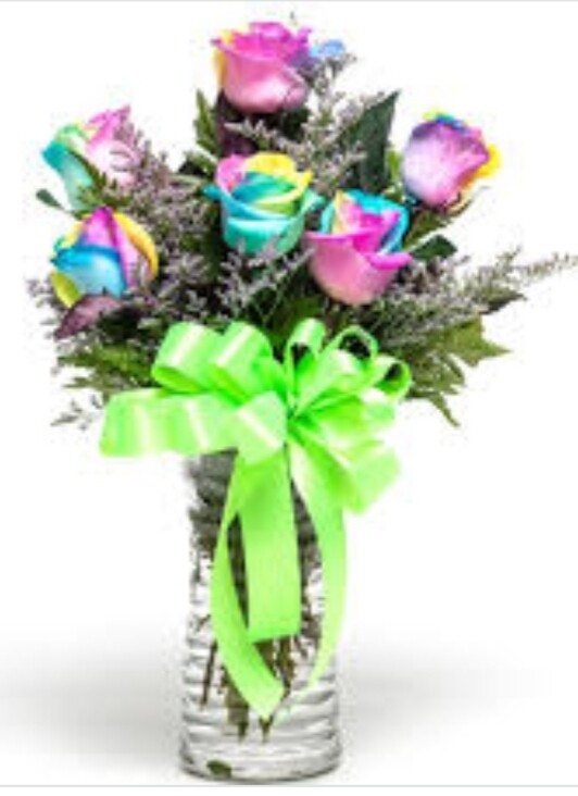 6 Rainbow Roses ( for Valentine only