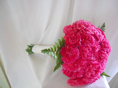 Carnation Bouquet