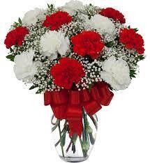 Carnations