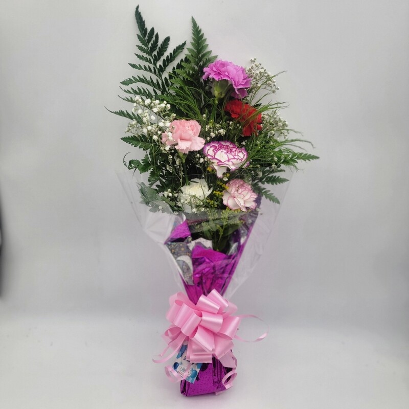 Carnations - 6 mix colour in a sleeve