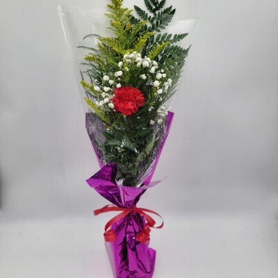 Valentines - 1 Carnation in a sleeve (dressed)