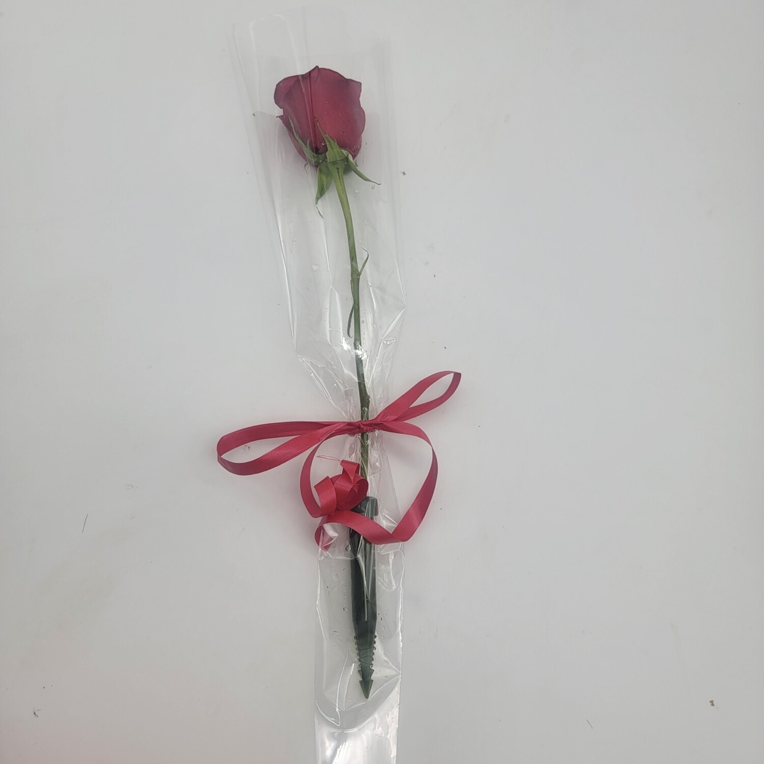 Rose - 1 in a sleeve (plain)