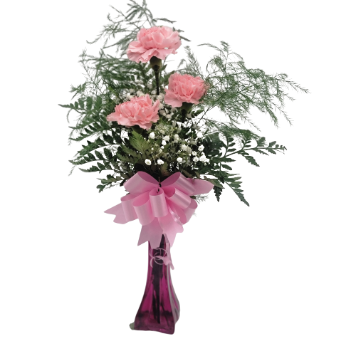 3 Pink Carnations  in a vase