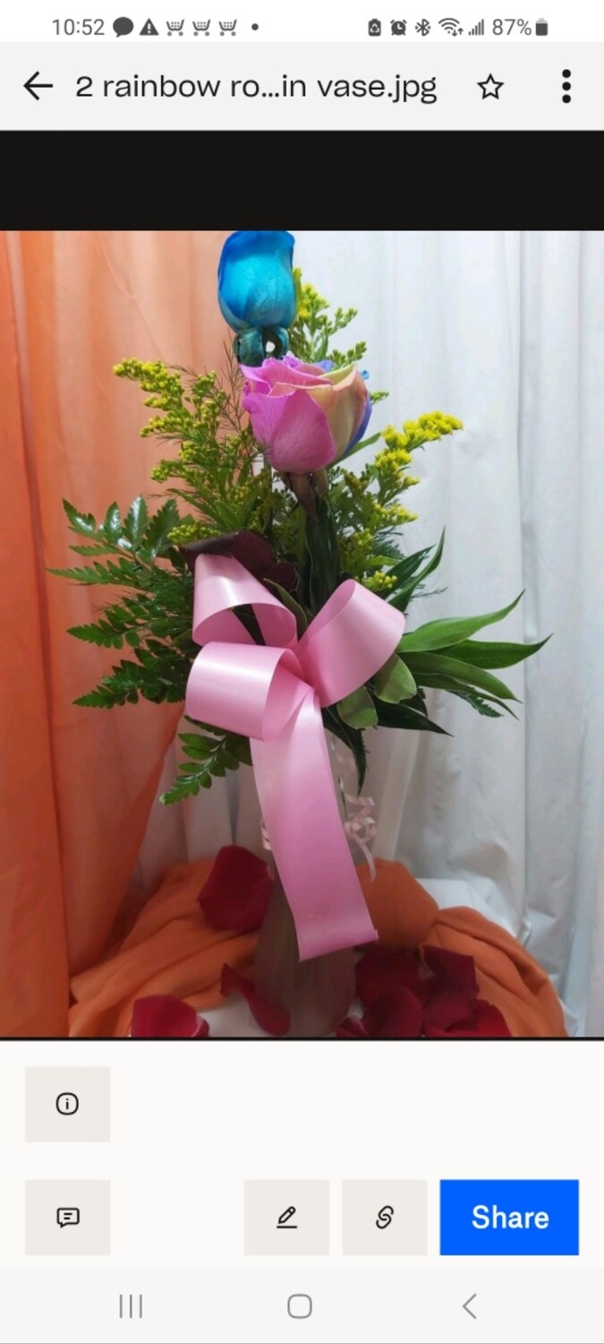 2 rainbow roses in a vase