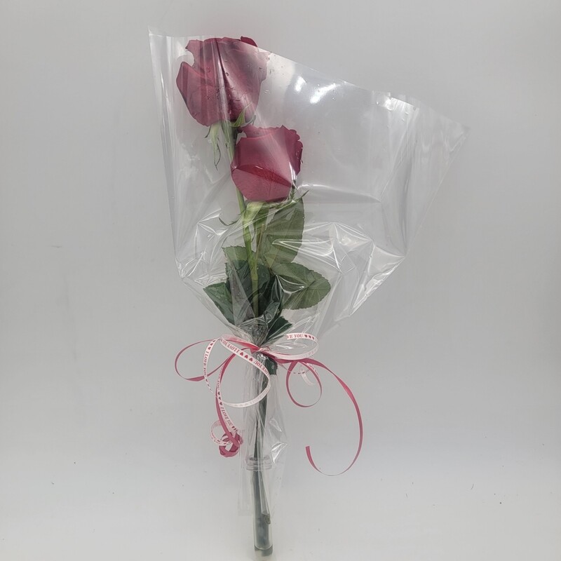 Roses - 2 in a sleeve plain