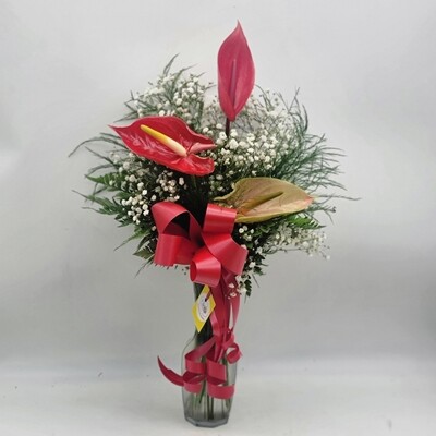 3 Anthuriums in a vase