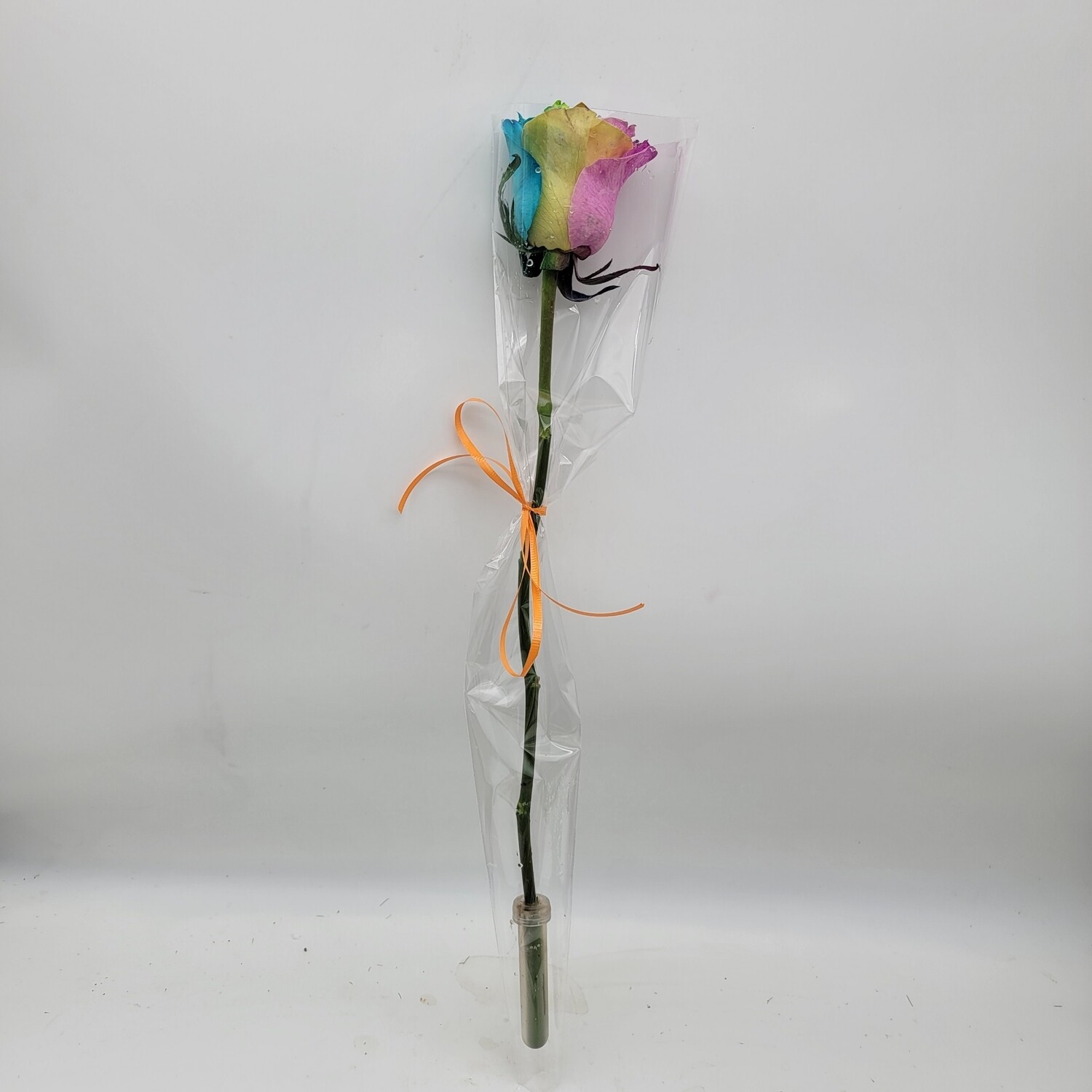 1 Rainbow Rose in a sleeve