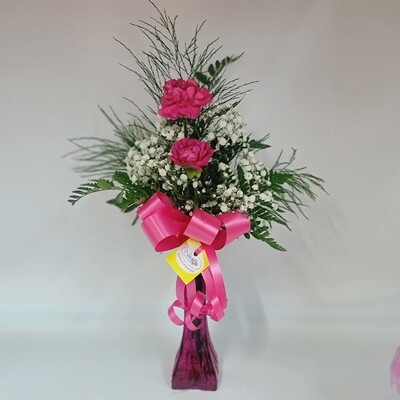 Carnations - 2 in a vase