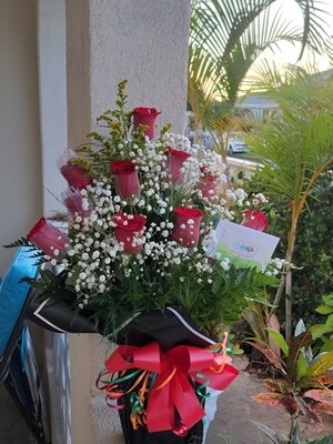 Roses - 12 in a wrap