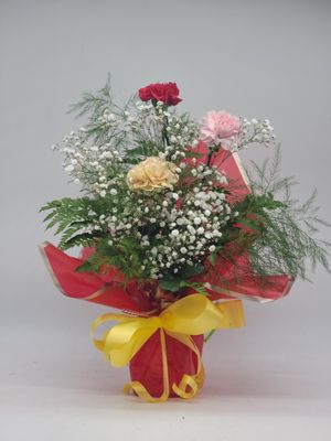 Carnations - 3 in a red wrap