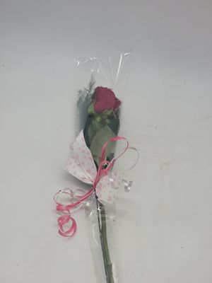 Valentines - 1 rose in a sleeve