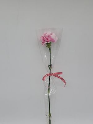 Valentines - 1 Pink carnation in a sleeve plain