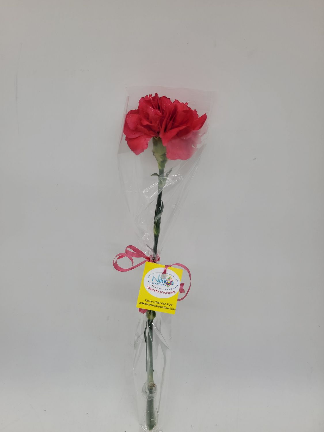 1 Carnation in a sleeve
