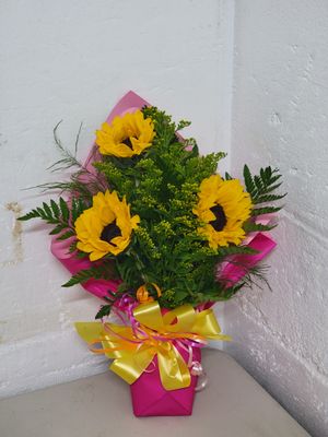 Sunflowers   - 3 in a wrap
