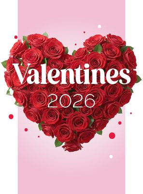 Valentine's Collection 2026