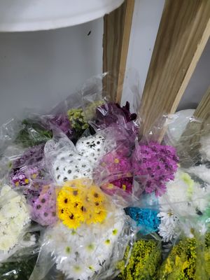 Wholesale Flowers