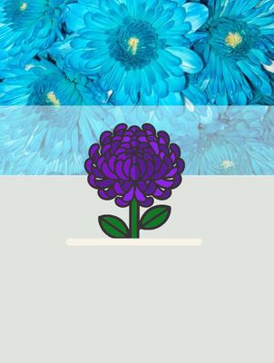 Chrysanthemums