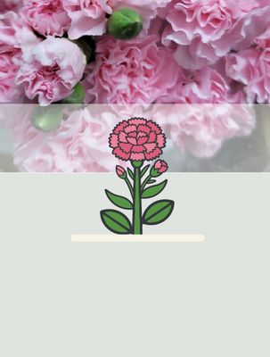 Carnations