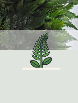 Foliage