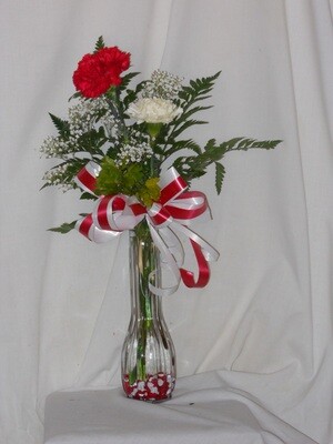 2 Carnations in a Vase