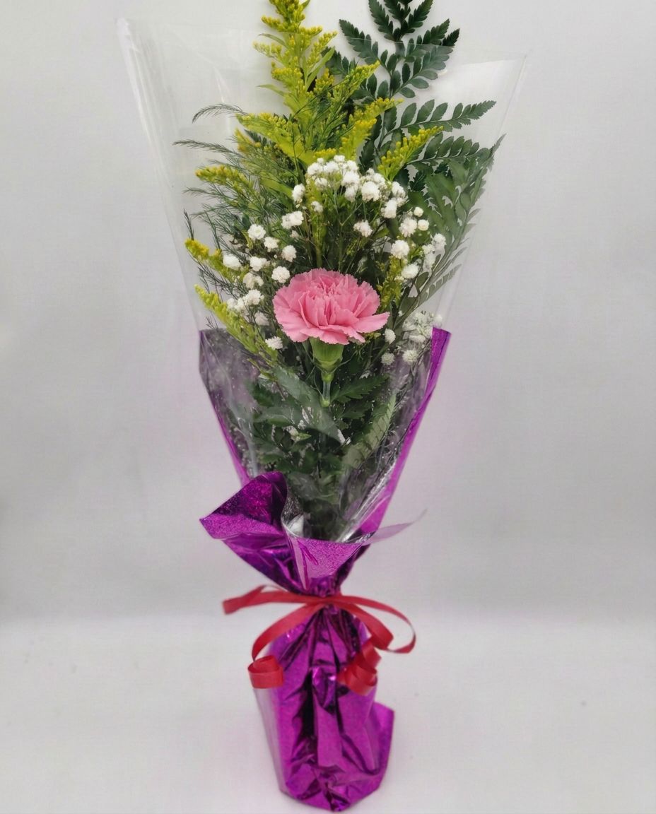1 Carnation in a sleeve (dressed)